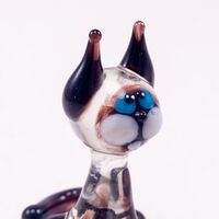 Котик сиамский с черными ушками