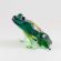 Зеленая лягушка Рептилии