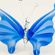 Бабочка синяя Насекомые