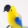Желтый попугай Птицы 