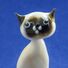 Котик сиамский сидит